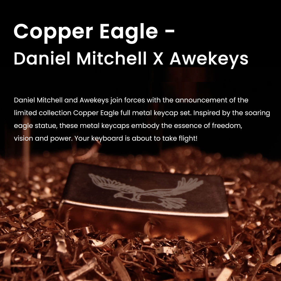 フルメタルキーキャップセット コッパーイーグル – Awekeys